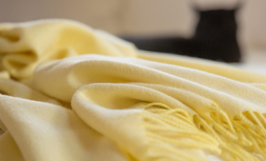leron-linens-yellow-throw-cat-home-page_386x234_acf_cropped
